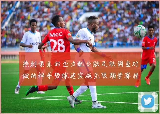 热刺俱乐部全力配合欧足联调查对做纳粹手势球迷实施无限期禁赛措施