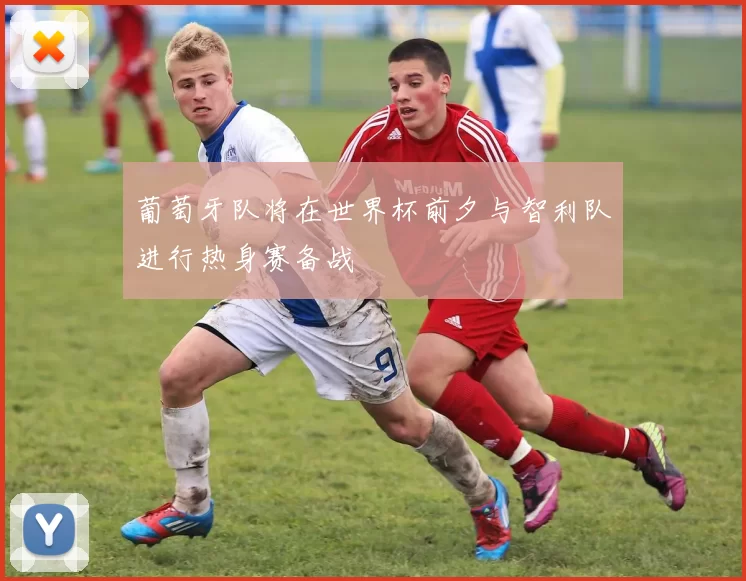 葡萄牙队将在世界杯前夕与智利队进行热身赛备战