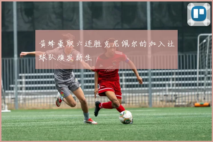 黄蜂豪取六连胜克尼佩尔的加入让球队焕发新生